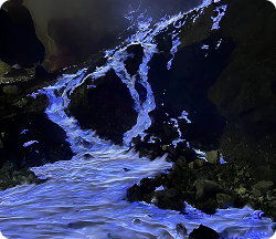 Blue Fire Kawah Ijen
